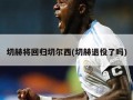 切赫将回归切尔西(切赫退役了吗)