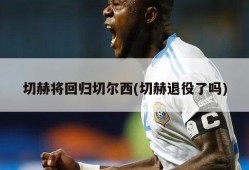 切赫将回归切尔西(切赫退役了吗)