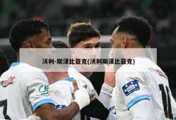 沃利-斯泽比亚克(沃利斯泽比亚克)