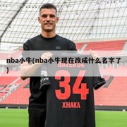 nba小牛(nba小牛现在改成什么名字了)
