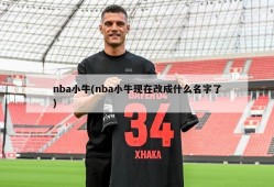 nba小牛(nba小牛现在改成什么名字了)