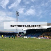 青岛羽毛球馆(青岛羽毛球馆排行榜)