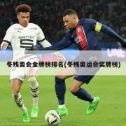 冬残奥会金牌榜排名(冬残奥运会奖牌榜)