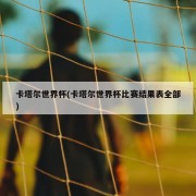 卡塔尔世界杯(卡塔尔世界杯比赛结果表全部)