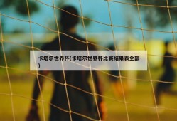 卡塔尔世界杯(卡塔尔世界杯比赛结果表全部)