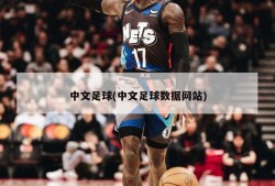 中文足球(中文足球数据网站)