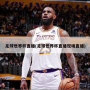 足球世界杯直播(足球世界杯直播现场直播)