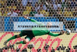 天下足球皮尔洛(天下足球皮尔洛退役歌曲)