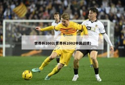 世界杯2002(世界杯2002中国战绩)