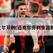 迈克尔芬利(迈克尔芬利生涯数据)