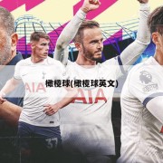 橄榄球(橄榄球英文)