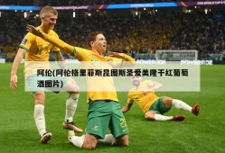 阿伦(阿伦格里菲斯昆图斯圣爱美隆干红葡萄酒图片)