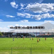 nba暂停(nba暂停次数规则)
