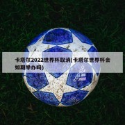 卡塔尔2022世界杯取消(卡塔尔世界杯会如期举办吗)