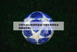 卡塔尔2022世界杯取消(卡塔尔世界杯会如期举办吗)
