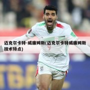 迈克尔卡特-威廉姆斯(迈克尔卡特威廉姆斯技术特点)