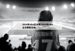 2014年nba总决赛(2014年nba总决赛第五场)