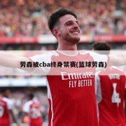 劳森被cba终身禁赛(篮球劳森)