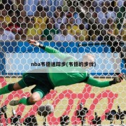 nba韦德迷踪步(韦德的步伐)