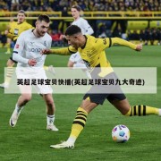 英超足球宝贝快播(英超足球宝贝九大奇迹)