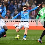中国羽毛球大师赛(中国羽毛球大师赛11月)