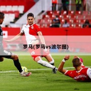 罗马(罗马vs波尔图)