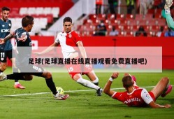 足球(足球直播在线直播观看免费直播吧)