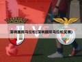 深圳国际马拉松(深圳国际马拉松奖牌)