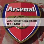 victor羽毛球(victor羽毛球拍属于什么档次)