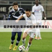 斐济橄榄球(斐济橄榄球世界排名)