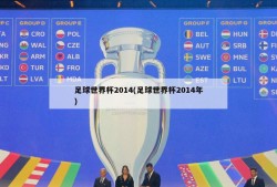 足球世界杯2014(足球世界杯2014年)
