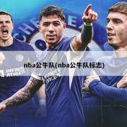 nba公牛队(nba公牛队标志)