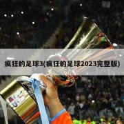 疯狂的足球3(疯狂的足球2023完整版)