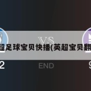 英超足球宝贝快播(英超宝贝翻译)