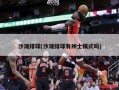 沙滩排球(沙滩排球有绅士模式吗)