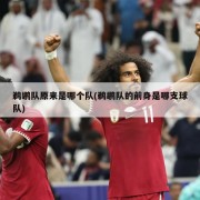 鹈鹕队原来是哪个队(鹈鹕队的前身是哪支球队)