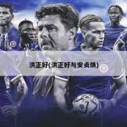 洪正好(洪正好与安贞焕)
