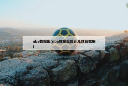 nba数据库(nba数据库统计及球员数据)