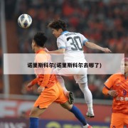 诺里斯科尔(诺里斯科尔去哪了)