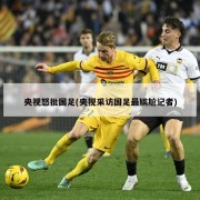 央视怒批国足(央视采访国足最尴尬记者)