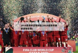 2014世界杯进球排名(2014世界杯精彩进球合集)