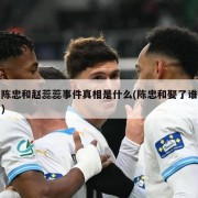 陈忠和赵蕊蕊事件真相是什么(陈忠和娶了谁)