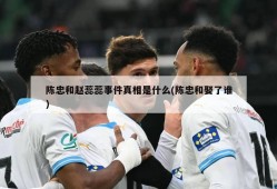 陈忠和赵蕊蕊事件真相是什么(陈忠和娶了谁)
