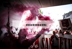 欧冠足球(欧冠足球场)