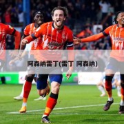 阿森纳雷丁(雷丁 阿森纳)