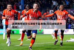 武贾西奇说莎拉波娃干起来像(莎拉波娃武甲西奇)
