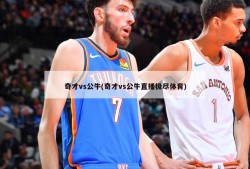 奇才vs公牛(奇才vs公牛直播极尽体育)