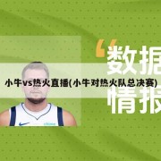 小牛vs热火直播(小牛对热火队总决赛)