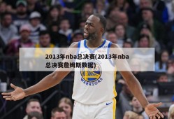 2013年nba总决赛(2013年nba总决赛詹姆斯数据)