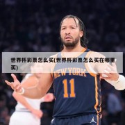 世界杯彩票怎么买(世界杯彩票怎么买在哪里买)